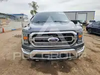 2021 Ford F-150 photo