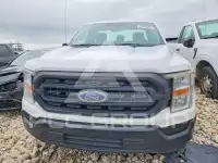 2021 Ford F-150 photo