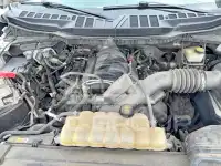 2021 Ford F-150 photo
