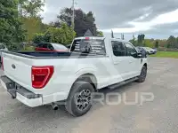 2021 Ford F-150 photo