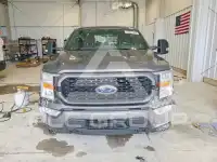 2021 Ford F-150 photo