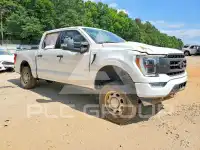 2021 Ford F-150 photo
