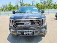 2021 Ford F-150 photo