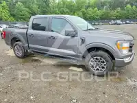2021 Ford F-150 photo