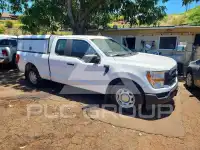 2021 Ford F-150 фото