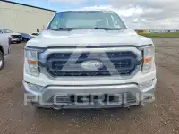 2021 Ford F-150 фото
