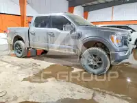2021 Ford F-150 фото