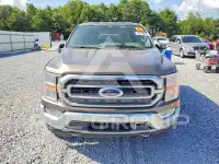 2021 Ford F-150 photo