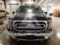 2021 Ford F-150 фото