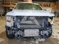 2021 Ford F-150 фото