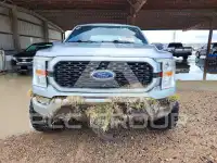 2021 Ford F-150 фото