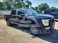 2021 Ford F-150 photo