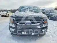 2021 Ford F-150 photo