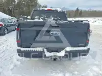 2021 Ford F-150 photo