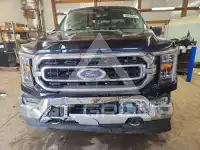 2021 Ford F-150 фото