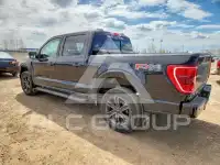 2021 Ford F-150 photo