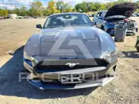 2021 Ford MUSTANG фото