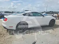 2021 Ford MUSTANG фото