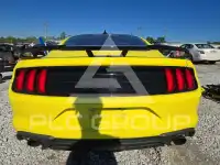 2021 Ford MUSTANG photo