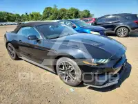 2021 Ford MUSTANG photo