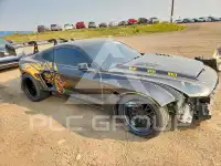 2021 Ford MUSTANG photo