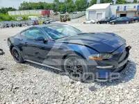 2021 Ford MUSTANG photo