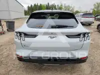 2021 Ford MUSTANG photo
