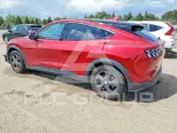 2021 Ford MUSTANG photo