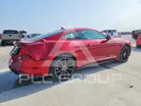2021 Ford MUSTANG photo