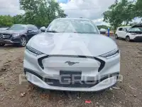 2021 Ford MUSTANG photo