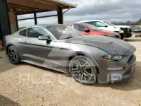 2021 Ford MUSTANG photo