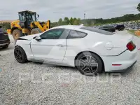 2021 Ford MUSTANG photo
