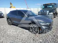 2021 Ford MUSTANG photo