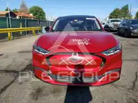 2021 Ford MUSTANG фото