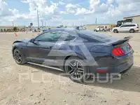 2021 Ford MUSTANG photo
