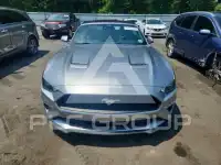 2021 Ford MUSTANG photo