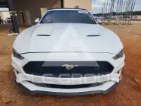 2021 Ford MUSTANG photo