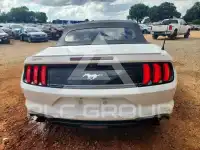2021 Ford MUSTANG photo