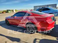 2021 Ford MUSTANG photo
