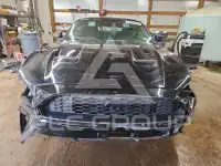 2021 Ford MUSTANG photo