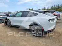 2021 Ford MUSTANG photo