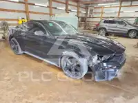 2021 Ford MUSTANG photo