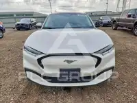 2021 Ford MUSTANG photo