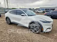2021 Ford MUSTANG photo