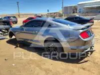 2021 Ford MUSTANG photo