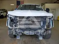 2021 Ford F-250 фото