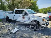 2021 Ford F-250 фото
