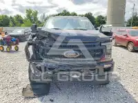2021 Ford F-250 фото