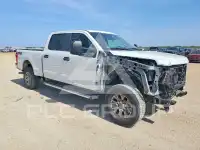 2021 Ford F-250 фото
