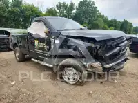 2021 Ford F-250 фото